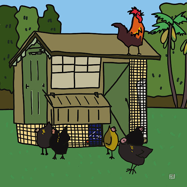 My first chickens