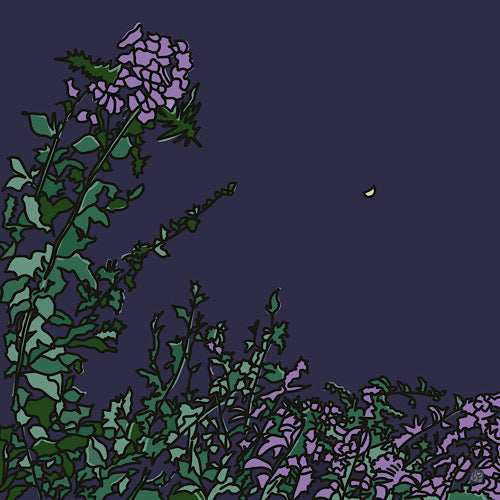 Upcountry Night